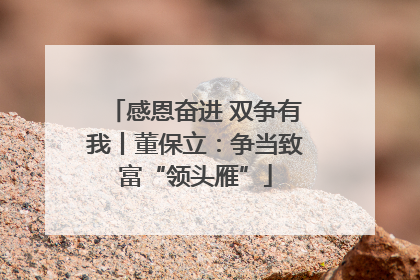 感恩奋进 双争有我丨董保立：争当致富“领头雁”